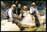 Angeles Forest