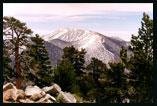 San Gorgonio Wilderness